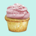 SOLD OUT! Coconut Cupcakes - 4 - Pack Minis