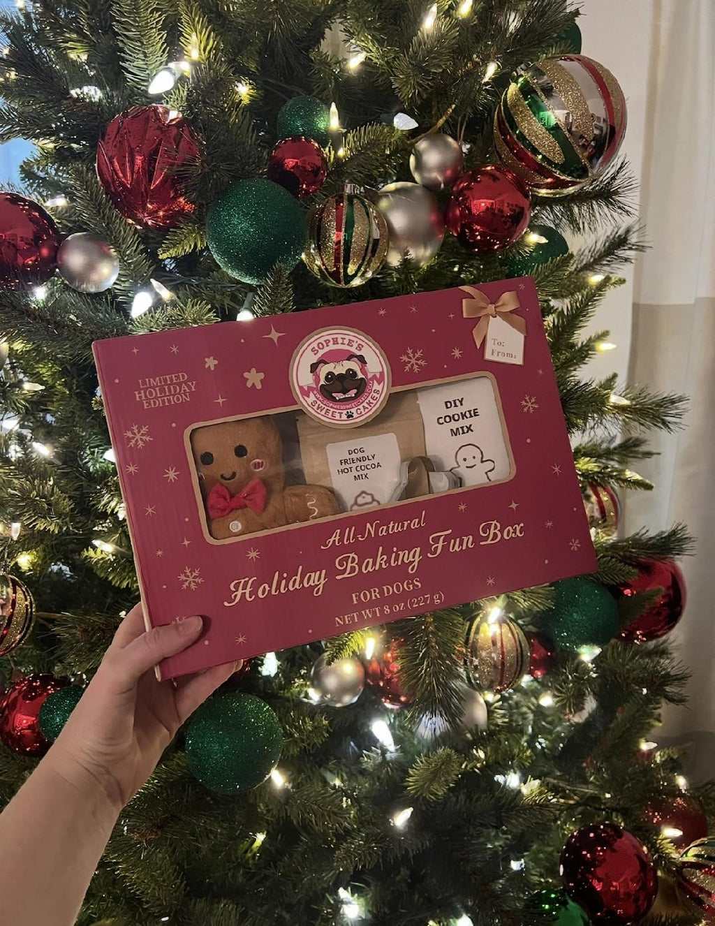 Holiday Baking Fun Box for Dogs - Limited Edition DIY Treats & Toy